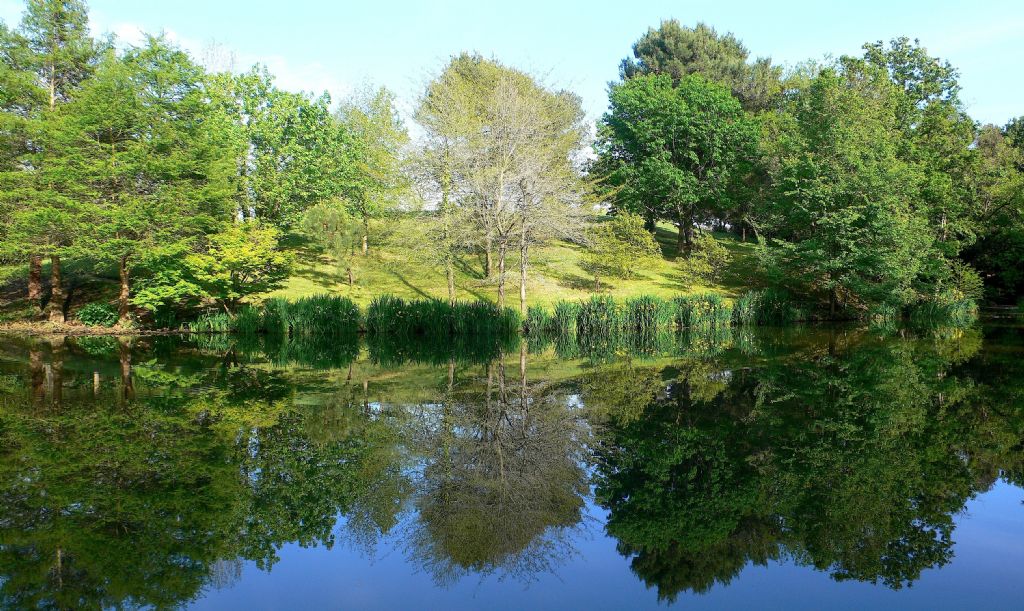 Un mondo riflesso...